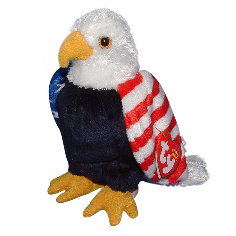 Soar the Eagle reference photo