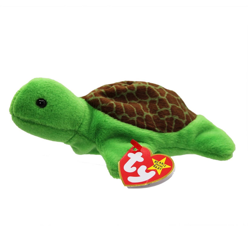 Speedy the Turtle reference photo