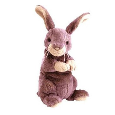 Springy The Lavender Bunny reference photo