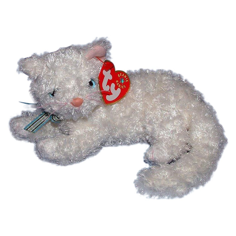 Starlett the Cat reference photo