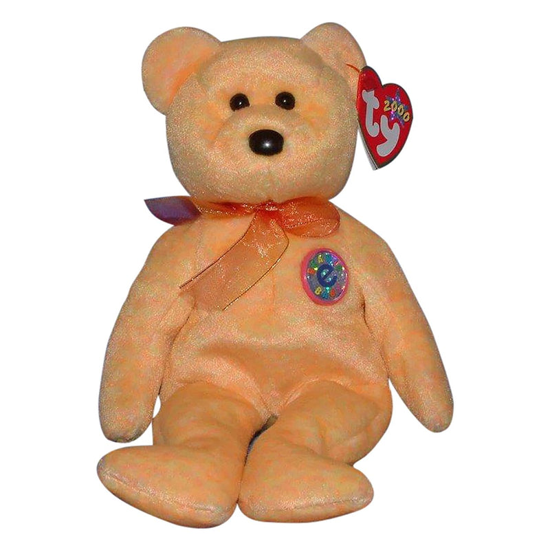 Sunny the Bear reference photo