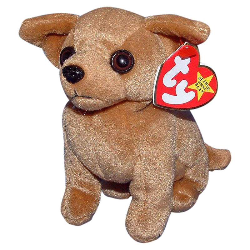 Tiny the Chihuahua reference photo