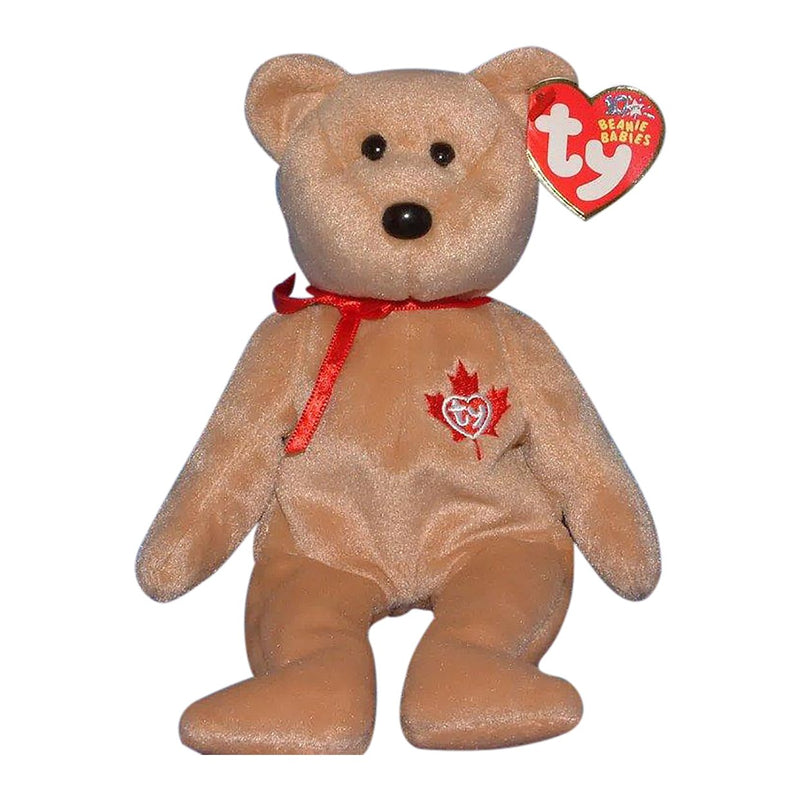 True the Bear reference photo