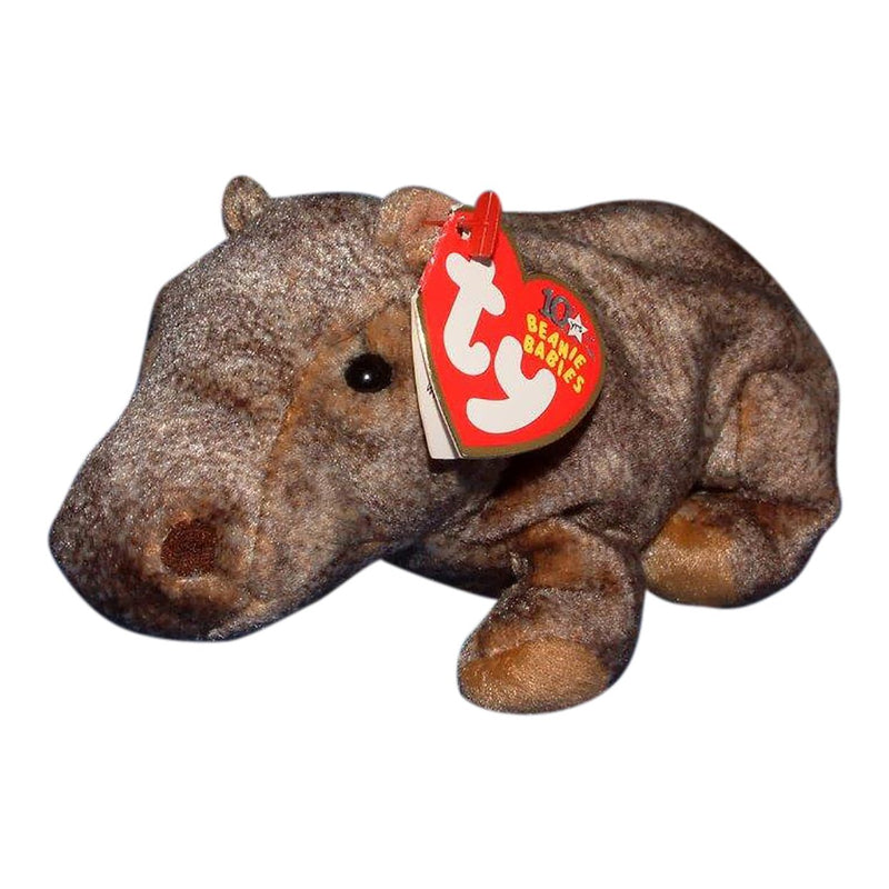 Tubbo the Hippopotamus reference photo