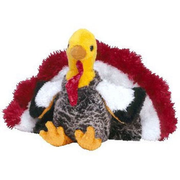 Turk E the Turkey reference photo