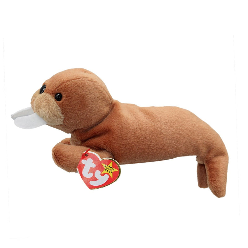 Tusk the Walrus reference photo