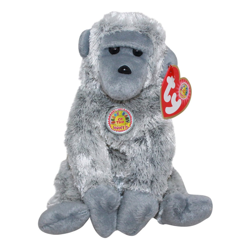 Virunga the Gorilla reference photo