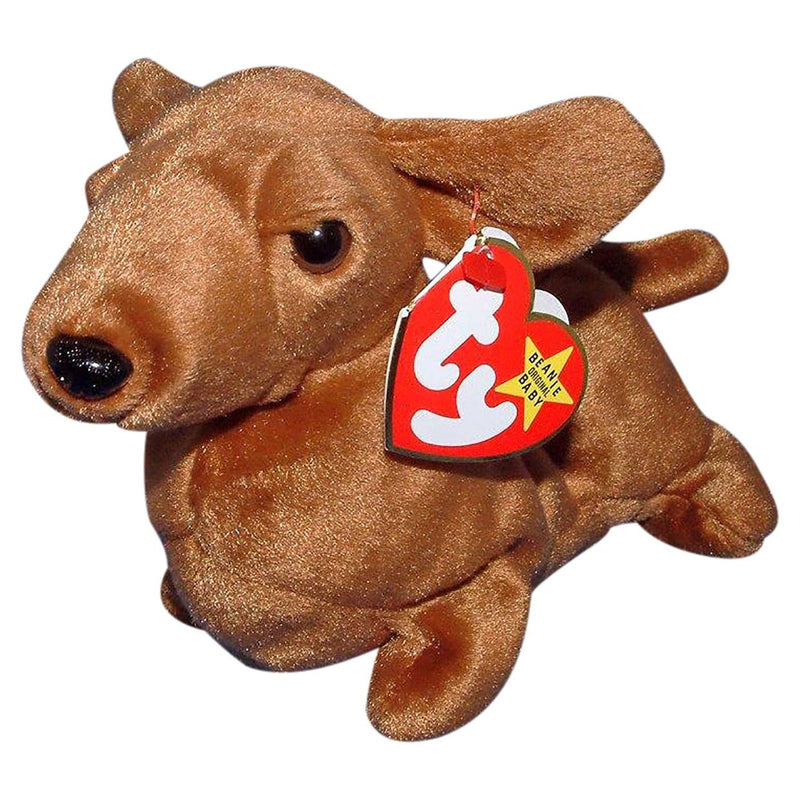 Weenie the Dog reference photo