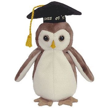 Wise the Owl reference photo
