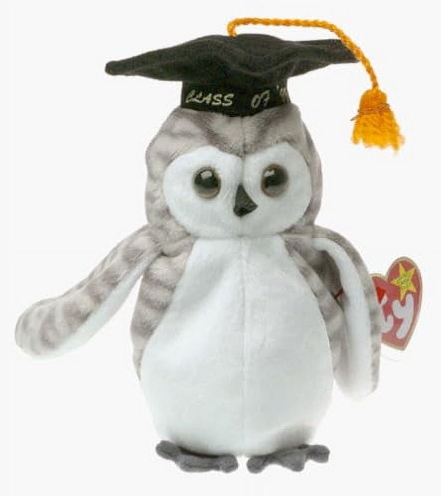 Wiser the Owl reference photo
