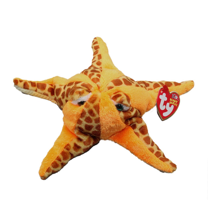 Wish the Starfish reference photo