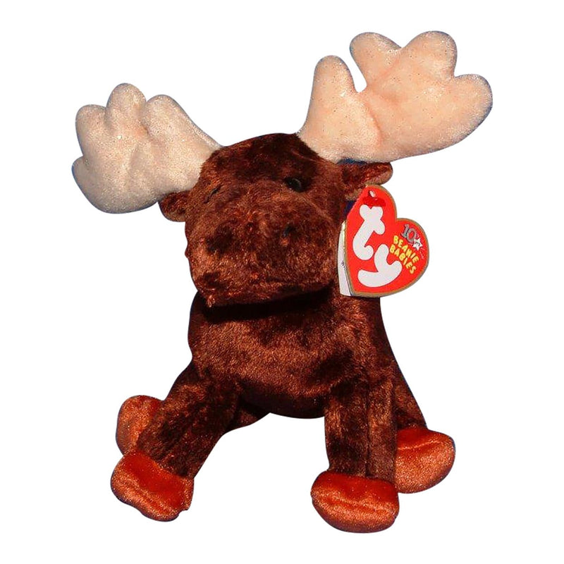 Zeus the Moose reference photo