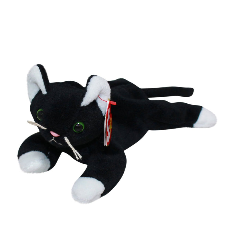 Zip the Cat White Paws reference photo