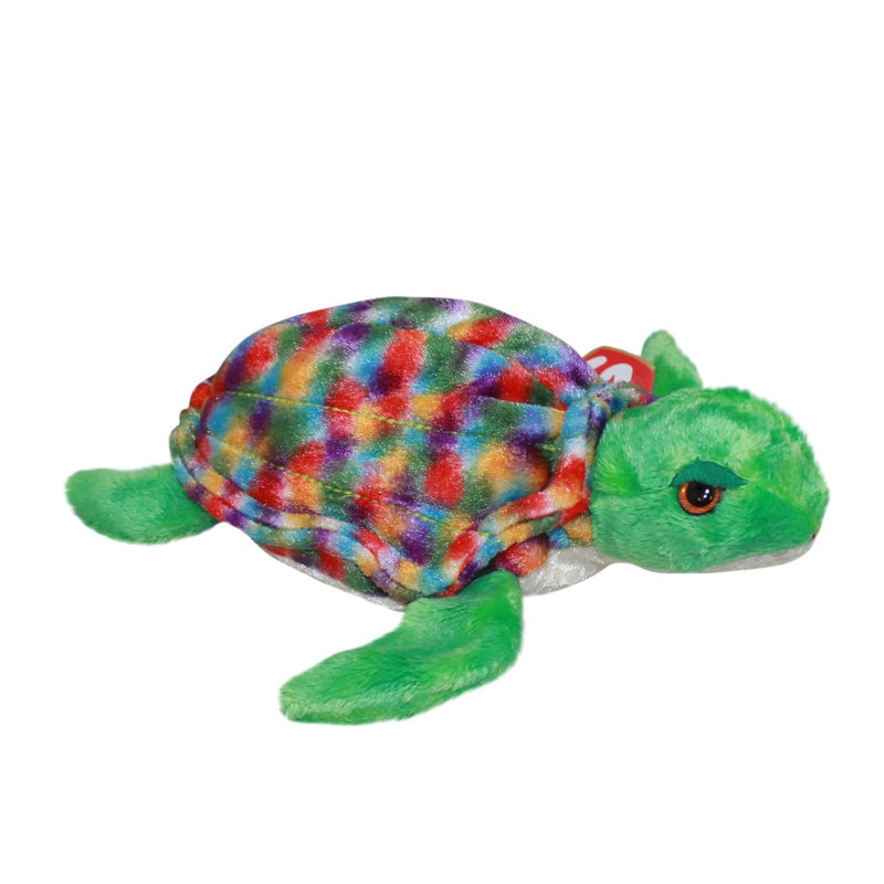 Zoom the Turtle reference photo