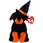 Alacazam the Dog reference photo