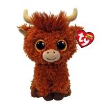 Alfie the Highland Cow reference photo
