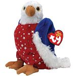 American the Eagle reference photo