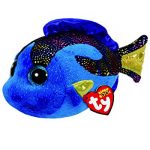 Aqua the Fish (Medium) reference photo