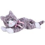Aria the Cat reference photo