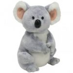 Aussie the Koala reference photo