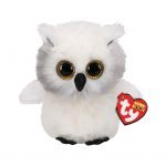 Austin the Owl reference photo