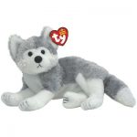 Avalanche the Husky reference photo