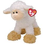 Baaabsy the Lamb reference photo