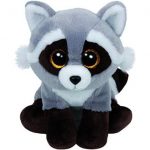 Bandit the Raccoon reference photo