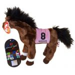 Barbaro 2006 Kentucky Derby Winner the Horse reference photo