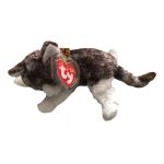 Bently the Cat San Ysidro Ranch Tag reference photo