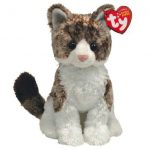 Bently the Cat reference photo