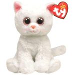 Bianca the Cat reference photo