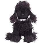 Bijoux the Poodle reference photo