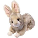 Binksy the Bunny reference photo