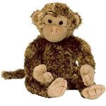 Bonsai the Monkey reference photo