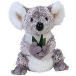 Bonzer the Koala reference photo