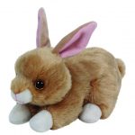 Bunnie the Rabbit reference photo