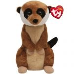 Burrows the Meerkat reference photo
