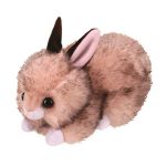 Buster the Rabbit reference photo