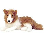 Cassie the Collie reference photo