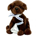 Chocolate Kiss the Dog reference photo