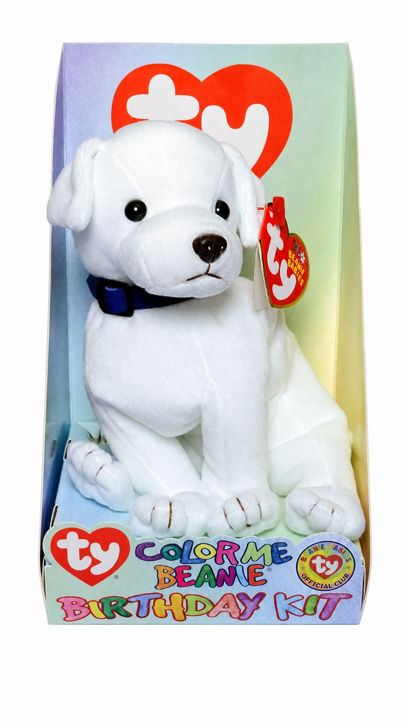 Color Me Beanie Birthday Kit Dog reference photo