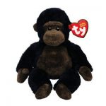 Congo the Gorilla reference photo