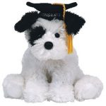 Congrats the Dog reference photo