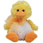 Coop the Chick reference photo