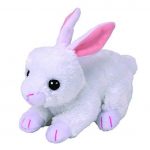 Cotton the Rabbit reference photo