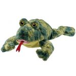 Croaks the Frog reference photo