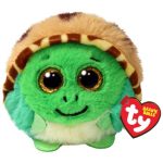 Cruiser the Turtle reference photo