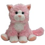 Curtsy the Cat reference photo