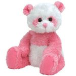 Dainty the Bear reference photo